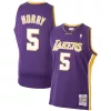 Carino Classico Robert Horry Los Angeles Lakers 1999/00 Hardwood Classics Swingman Jersey Purple per i Fan Veri