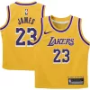 Stupendo LeBron James Los Angeles Lakers Nike Preschool Dri FIT Swingman Player Jersey Icon Edition Gold per i Fan Veri