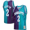 Prestigioso Larry Johnson Charlotte Hornets Hardwood Classics Split Swingman Jersey Teal/Purple per i Fan Veri