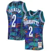 Robusto Larry Johnson Charlotte Hornets 1992/93 Hardwood Classics Lunar New Year Swingman Jersey Teal per i Fan Veri
