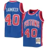 Robusto Moderno Bill Laimbeer Detroit Pistons Youth 1988/89 Hardwood Classics Swingman Jersey Blue per i Fan Veri