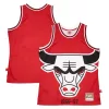 Splendido Robusto Chicago Bulls Hardwood Classics Blown Out Fashion Jersey Red per i Fan Veri