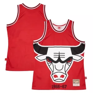 Splendido Robusto Chicago Bulls Hardwood Classics Blown Out Fashion Jersey Red per i Fan Veri
