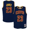 Carino Meraviglioso LeBron James Cleveland Cavaliers Youth 2008/09 Hardwood Classics Swingman Jersey Navy per i Fan Veri