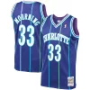 Raffinato Alonzo Mourning Charlotte Hornets 1994/95 Hardwood Classics Swingman Jersey Purple per i Fan Veri